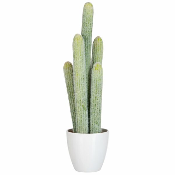 Cactus, Kunstpflanze, Hellgrün, H 52,5 cm, von J-Line 1 | Asmondo – Deko, Geschenke und mehr
