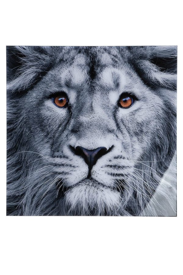 Acryl Bild „Lion Head", 2,5x80x80 cm, von Gilde 1 | Asmondo – Deko, Geschenke und mehr