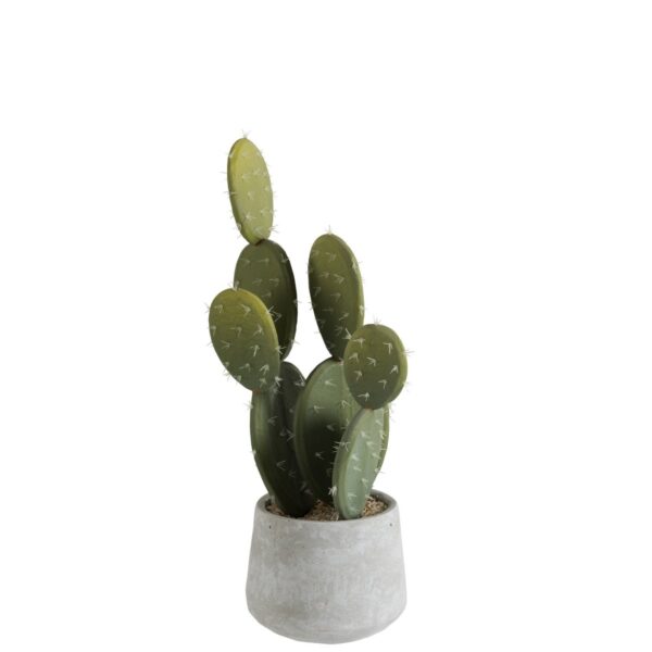 J-Line Cactus+Pot Grün/Zement Klein 1 | Asmondo – Deko, Geschenke und mehr