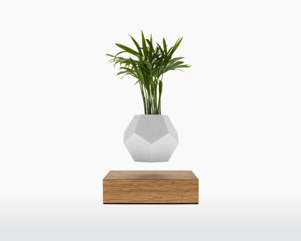 Übertopf „LYFE - schwebende Pflanze“ – Eiche, von Wooden Amsterdam 1 | Asmondo – Deko, Geschenke und mehr